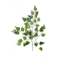 LIŚĆ BRZOZY X 39 LVS 57CM / 5-103 GREEN