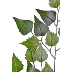 LIŚĆ BRZOZY X 39 LVS 57CM / 5-103 GREEN