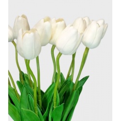 TULIPAN PIANKOWY PĄK - ŁODYGA PIANKA 46CM CREAM