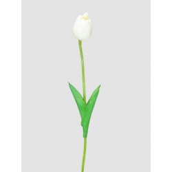 TULIPAN PIANKOWY PĄK - ŁODYGA PIANKA 46CM CREAM