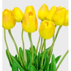 TULIPAN PIANKOWY PĄK - ŁODYGA PIANKA 46CM YELLOW