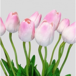 TULIPAN PIANKOWY PĄK - ŁODYGA PIANKA 46CM LT PINK