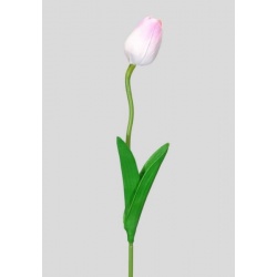 TULIPAN PIANKOWY PĄK - ŁODYGA PIANKA 46CM LT PINK