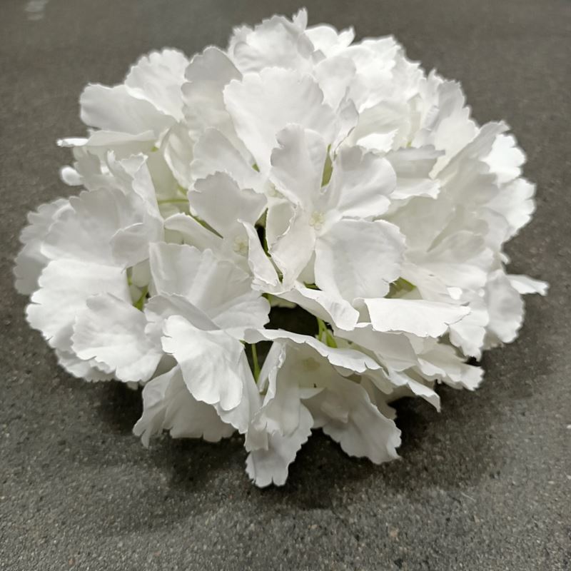 HORTENSJA DUŻA GŁOWA 22CM WHITE/CREAM