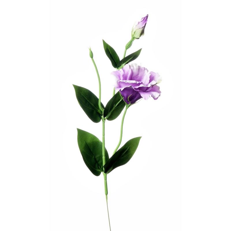 EUSTOMA NA PIKU 47CM SUN357 LT VIOLET