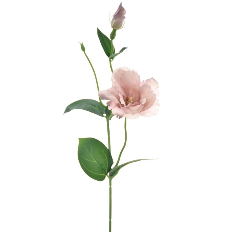 EUSTOMA NA PIKU 47CM SUN357 DELICATE BROWN