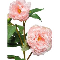 PEONIA GAŁĄZKA 3 KWIATY 76CM LT PINK PEACH