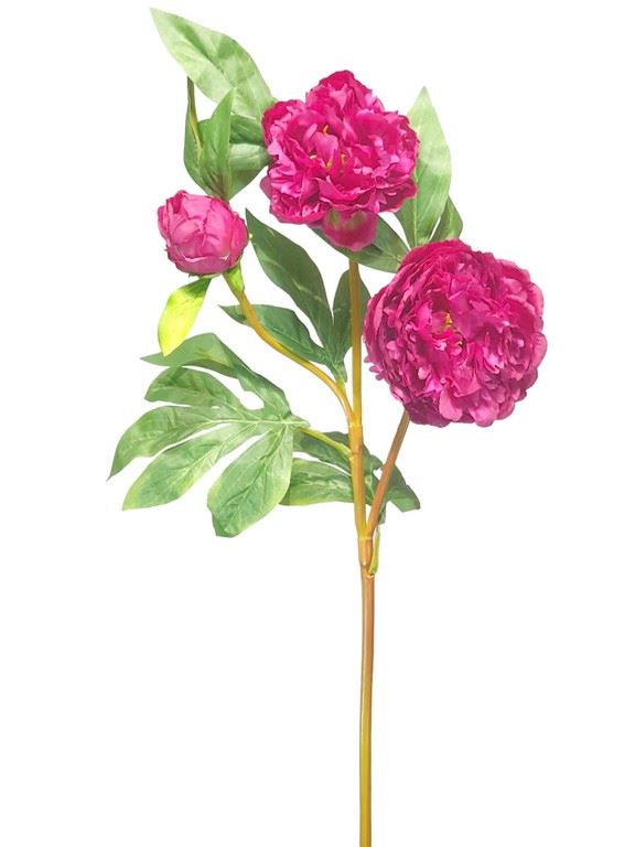 PEONIA GAŁĄZKA 3 KWIATY 76CM PURE FUCHSIA