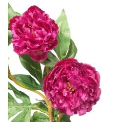 PEONIA GAŁĄZKA 3 KWIATY 76CM PURE FUCHSIA