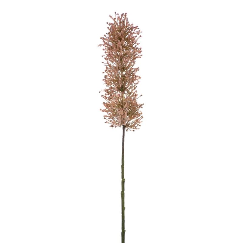 POIKILOSPERMUM DODATEK 62CM KLM1127 OLD PINK