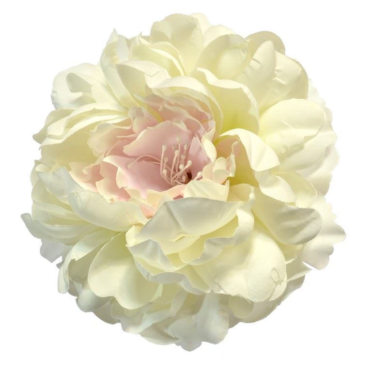 PEONIA WINTAGE GŁOWA 13CM CREAM WHITE LT PINK