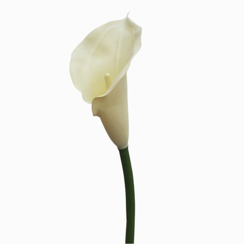 CALLA GUMA 72 CM  ANA1013 CREAM