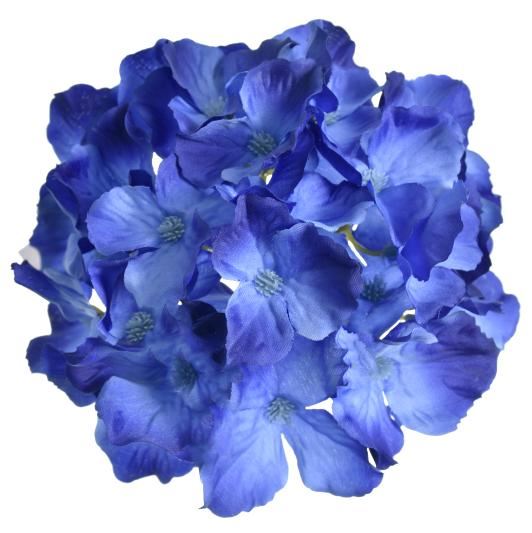 HORTENSJA GŁÓWKA 15CM SUN644 DR BLUE