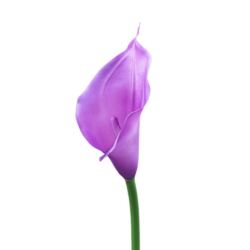 CALLA GUMA 72 CM ANA1013 VIOLET