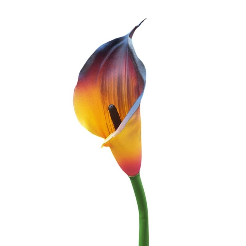 CALLA GUMA 72 CM ANA1013 GOLD BURGUNDY CALLA GUMA 72 CM ANA1013 GOLD BURGUNDY