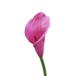 CALLA GUMA 72 CM ANA1013 FUCHSIA