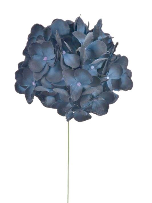 HORTENSJA GŁOWA MAŁA 12CM SUN772 BLUE BLACK