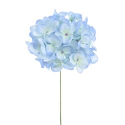 HORTENSJA GŁOWA MAŁA 12CM SUN772 PEARL BLUE