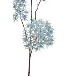 CZOSNEK ALLIUM GAŁĄZKA 80CM  TIK149 POWDER BLUE