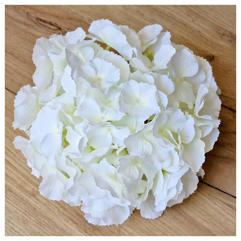 HORTENSJA GŁOWA DUŻA 20CM /CHQ01 PURE WHITE