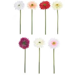 GERBERA POJEDYNCZA 47CM  SUN529 MIX1 6 KOLORÓW