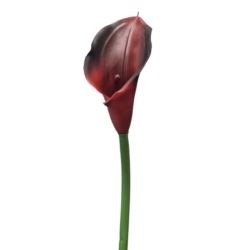 CALLA GUMA 72 CM ANA1013 COFFE