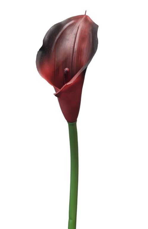 CALLA GUMA 72 CM ANA1013 COFFE