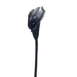 CALLA GUMA 72 CM  ANA1013 BLACK