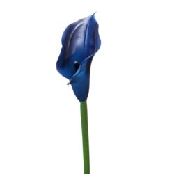 CALLA GUMA 72 CM ANA1013 DEEP BLUE