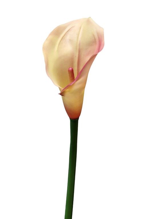 CALLA GUMA 72 CM ANA1013 ROSE