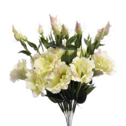 EUSTOMA NA PIKU 47CM SUN357 LT.PINK/LT.GREEN