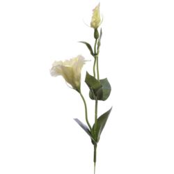 EUSTOMA NA PIKU 47CM SUN357 LT.PINK/LT.GREEN