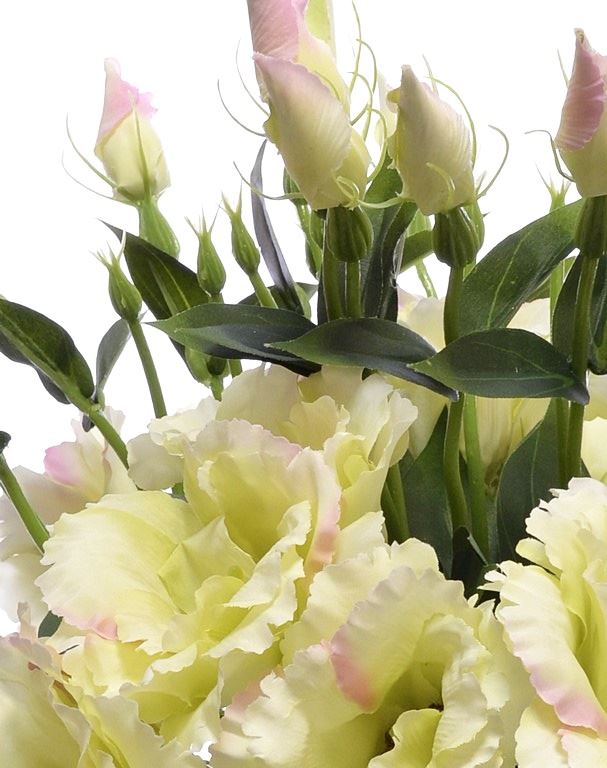 EUSTOMA NA PIKU 47CM SUN357 LT.PINK/LT.GREEN