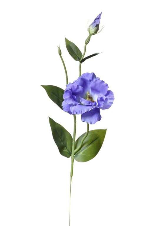 EUSTOMA SPRAY SUN357 VIOLET/LT. BLUE 2389