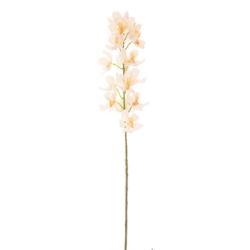 STORCZYK VANDA 80CM CREAM PEACH