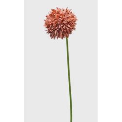 CZOSNEK ALLIUM POJEDYNCZE 44CM OLD MAUVE