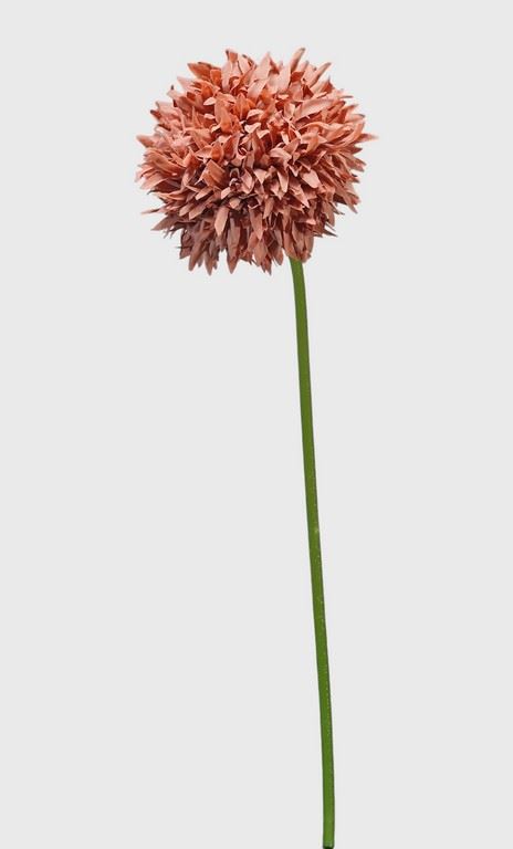 CZOSNEK ALLIUM POJEDYNCZE 44CM OLD MAUVE