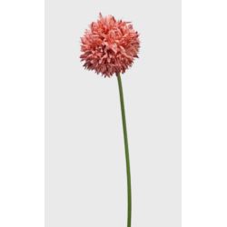 CZOSNEK ALLIUM POJEDYNCZE 44CM OLD MAUVE PINK