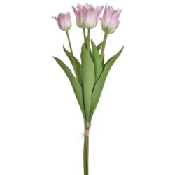 TULIPAN PĘCZEK PIANKA 5 KWIATÓW YD314 LT PINK