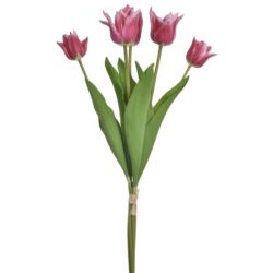 TULIPAN PĘCZEK PIANKA 5 KWIATÓW YD314 MAGENTA