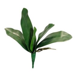 LIŚĆ STORCZYKA 5 LIŚCI 29CM GUMA RT GREEN