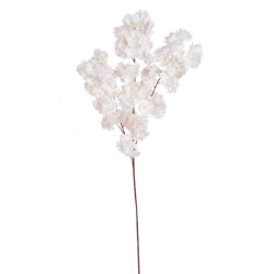 WIŚNIA KWITNĄCA 98CM LT PINK