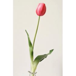 TULIPAN POJEDYNCZY GUMA 38CM BEAUTY PINK