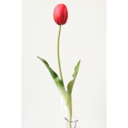 TULIPAN POJEDYNCZY GUMA 38CM RED