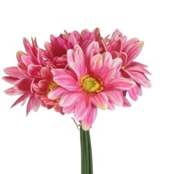 GERBERA PĘCZEK 34CM 7 KWIATÓW CV32650 BEAUTY PINK
