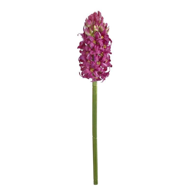 HIACYNT POJEDYNCZY 39CM SUN833 FUCHSIA
