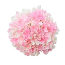 HORTENSJA GŁOWA GIGANT 30CM LT PINK