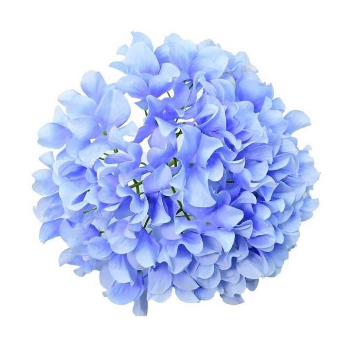 HORTENSJA GŁOWA GIGANT 30CM LT BLUE