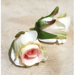 RÓŻA GŁÓWKA PĄK 3CM SUN421 CREAM LT. PEACH