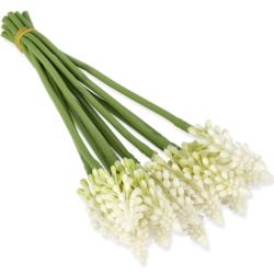 SZAFIREK POJEDYNCZY 24CM / 3823 WHITE GREEN